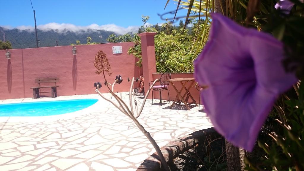Casitas La Montañita