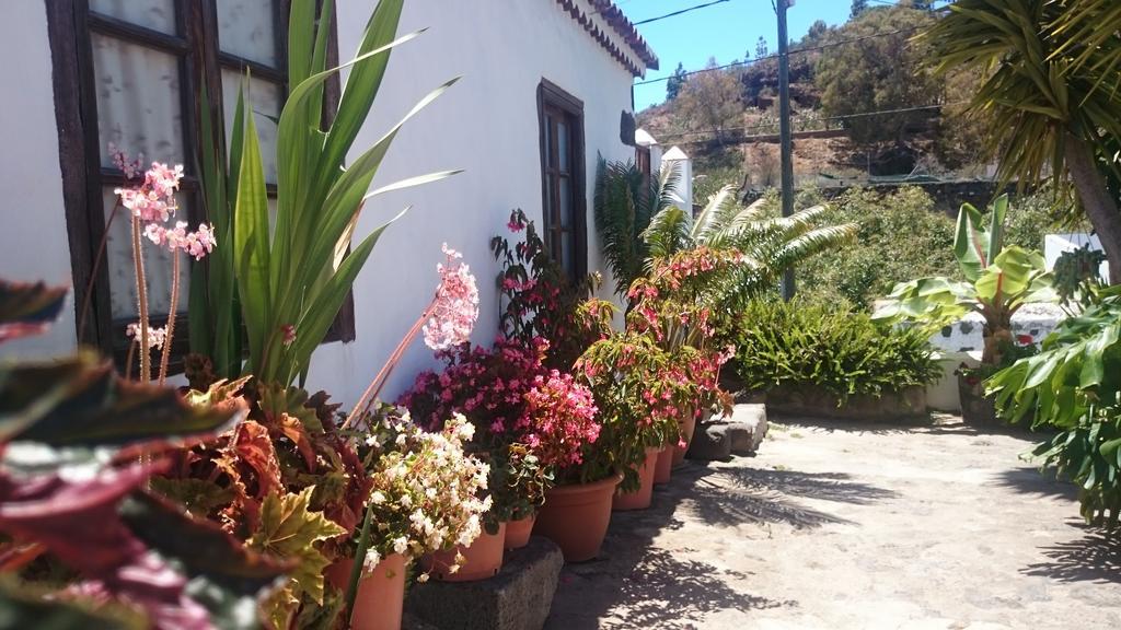 Casitas La Montañita *